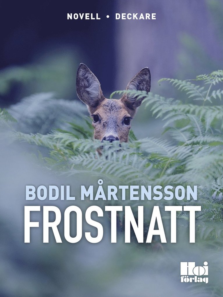 Bodil Mårtensson - Frostnatt, E-bok