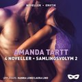 4 noveller. Samlingsvolym 2