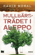 Mullbrstrdet i Aleppo