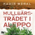 Mullbrstrdet i Aleppo