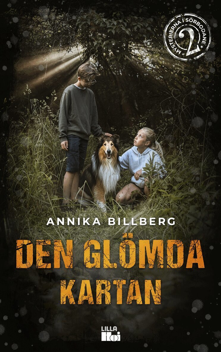 Annika Billberg - Den glömda kartan, E-bok