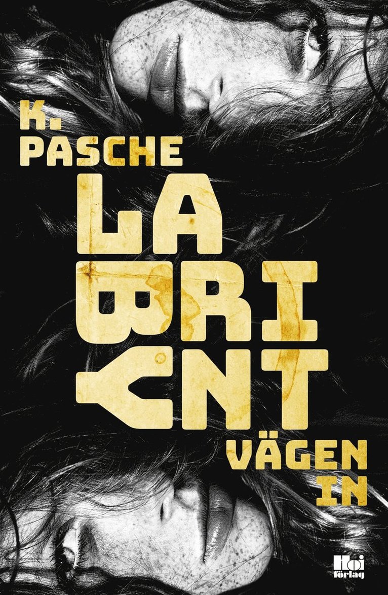 Karin Pasche - Labyrint. Vägen in, E-bok