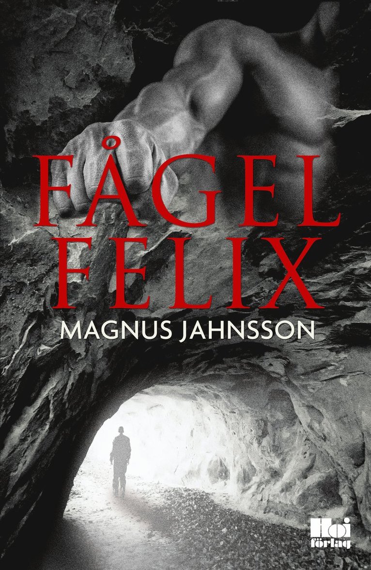 Magnus Jahnsson - Fågel Felix, Inbunden