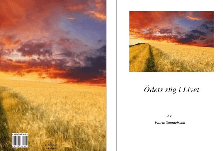 Patrik Samuelsson - Ödets stig i livet, Häftad