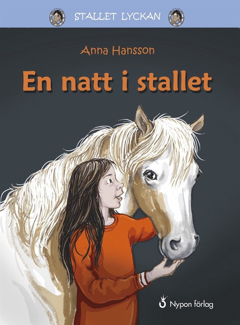 Anna Hansson - En natt i stallet, E-bok