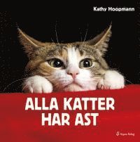 e-Bok Alla katter har AST