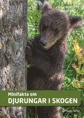 Minifakta om djurungar i skogen