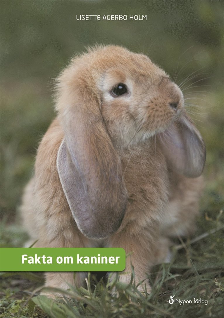 Lisette Agerbo Holm - Fakta om kaniner, E-bok