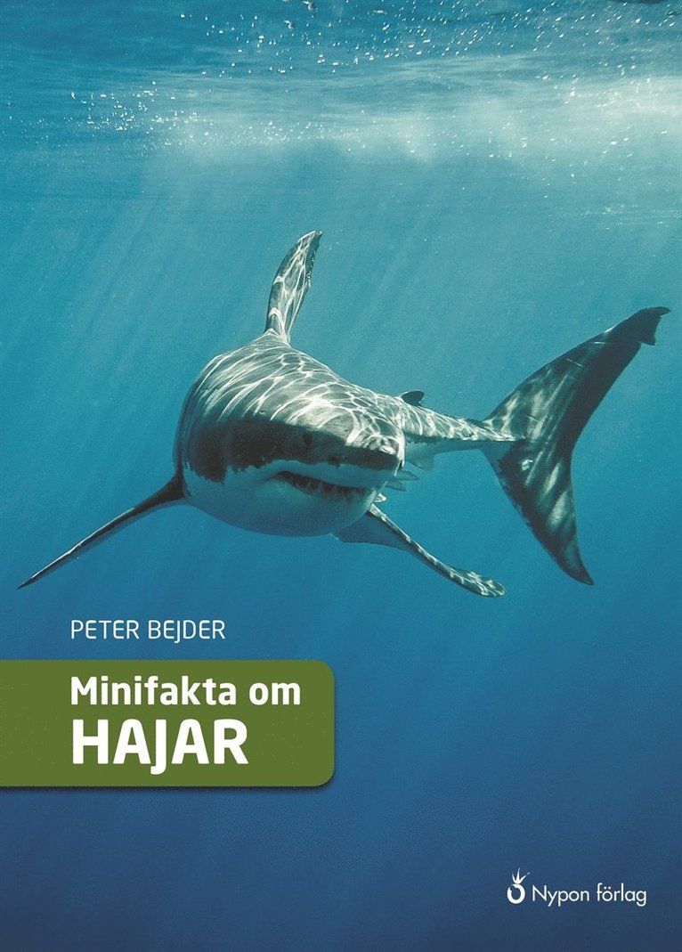 Peter Bejder - Minifakta om hajar, E-bok