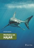 Minifakta om hajar