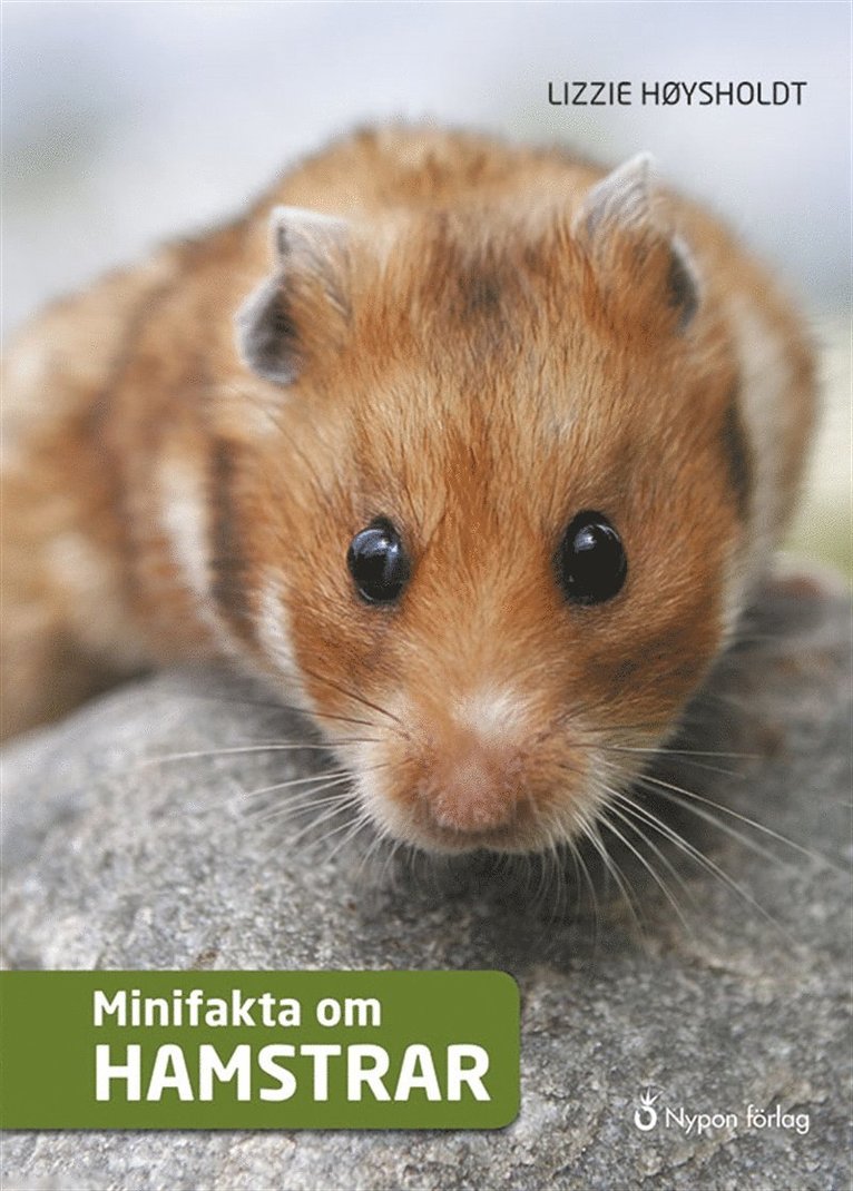 Lizzie Høysholdt - Minifakta om hamstrar, E-bok