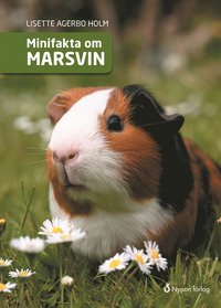 e-Bok Minifakta om marsvin <br />                        E bok