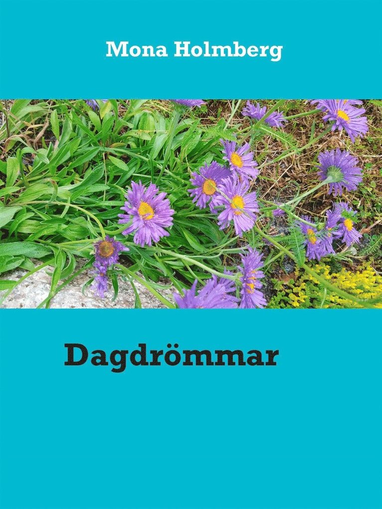 Mona Holmberg - Dagdrömmar, E-bok