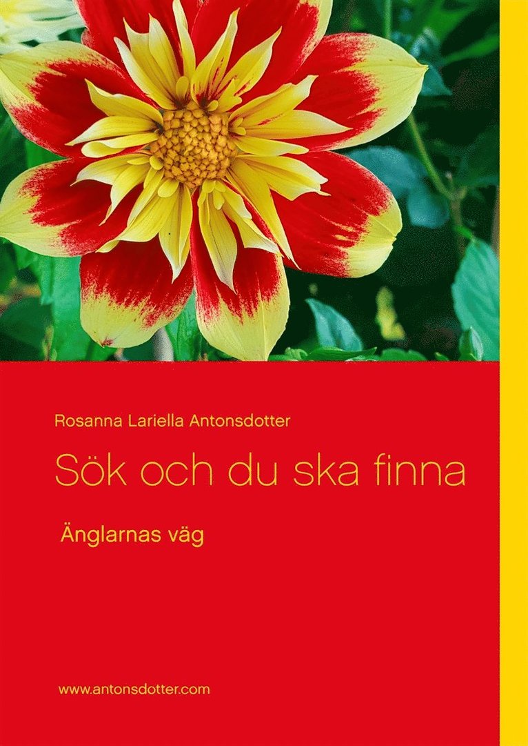 Rosanna Lariella Antonsdotter - Sök och du ska finna: Änglarnas väg, E-bok