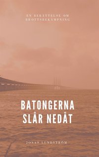 Batongerna slår nedåt: En berättelse om brottsbekämpning