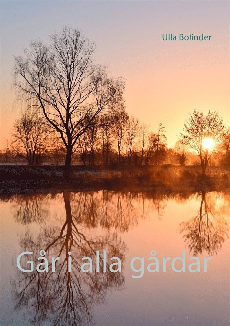 Ulla Bolinder - Går i alla gårdar, E-bok