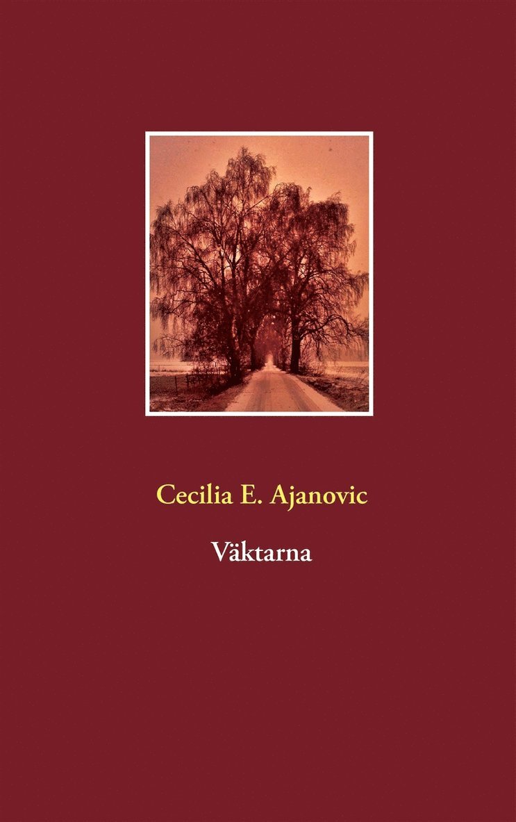 Cecilia E. Ajanovic - Väktarna, E-bok