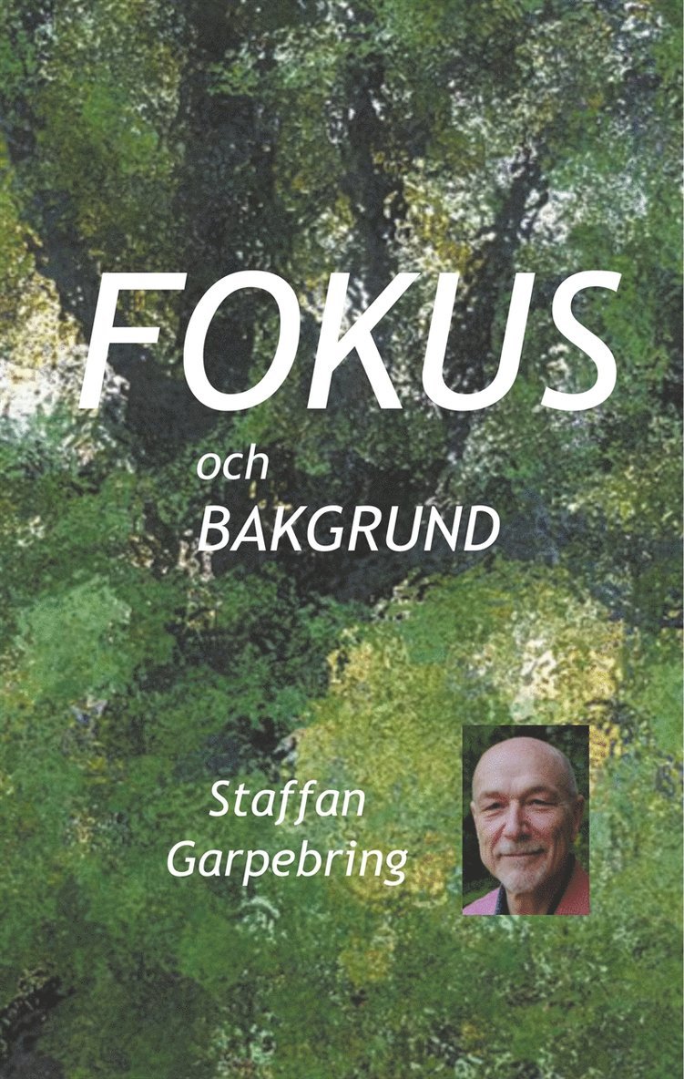 Staffan Garpebring - Fokus och bakgrund, E-bok
