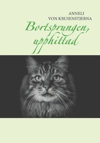 e-Bok Bortsprungen, upphittad