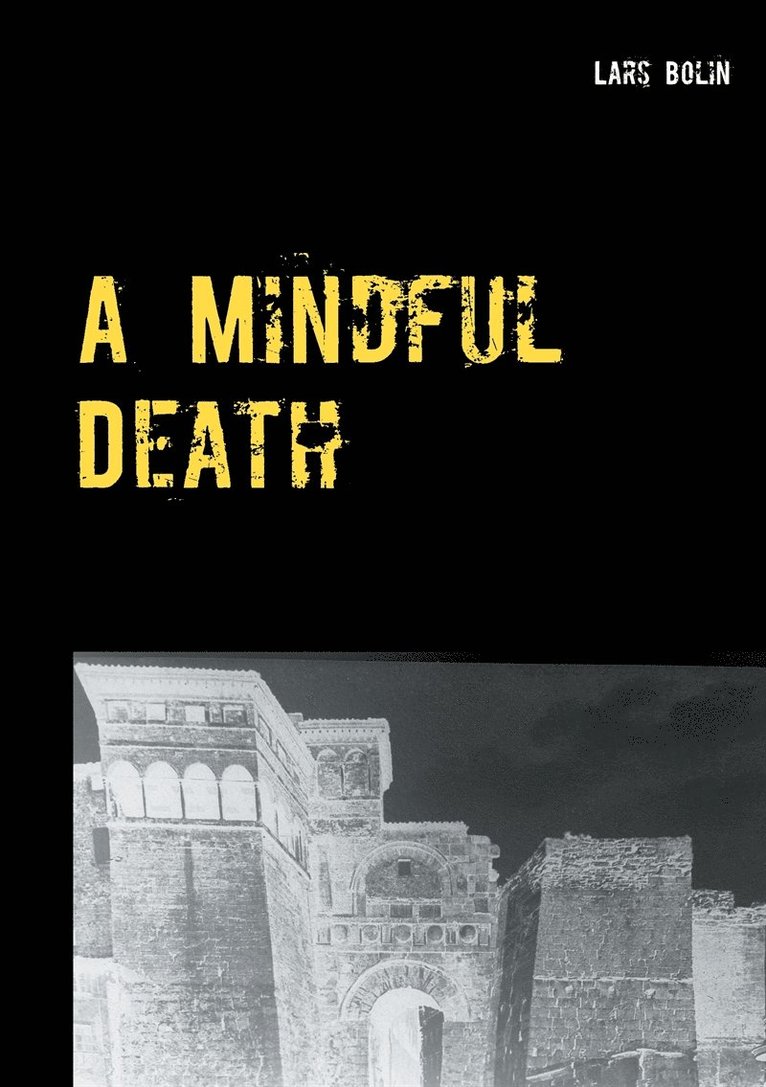 Lars Bolin - A Mindful Death: A Harry Anderson Mystery, E-bok