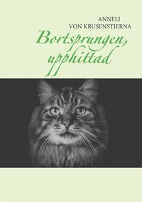 e-Bok Bortsprungen, upphittad <br />                        E bok