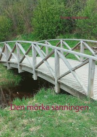 e-Bok Den mörka sanningen <br />                        E bok