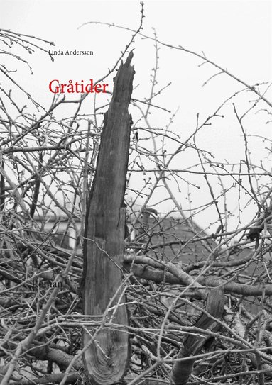 Linda Andersson - Gråtider, E-bok