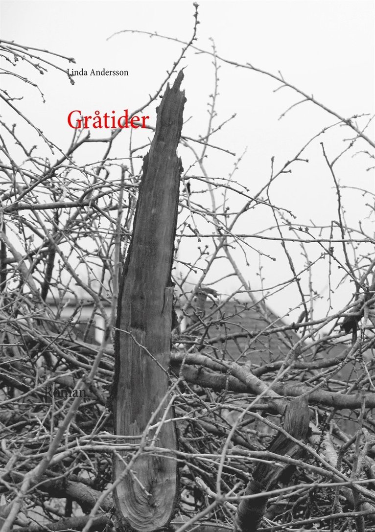 Linda Andersson - Gråtider, E-bok