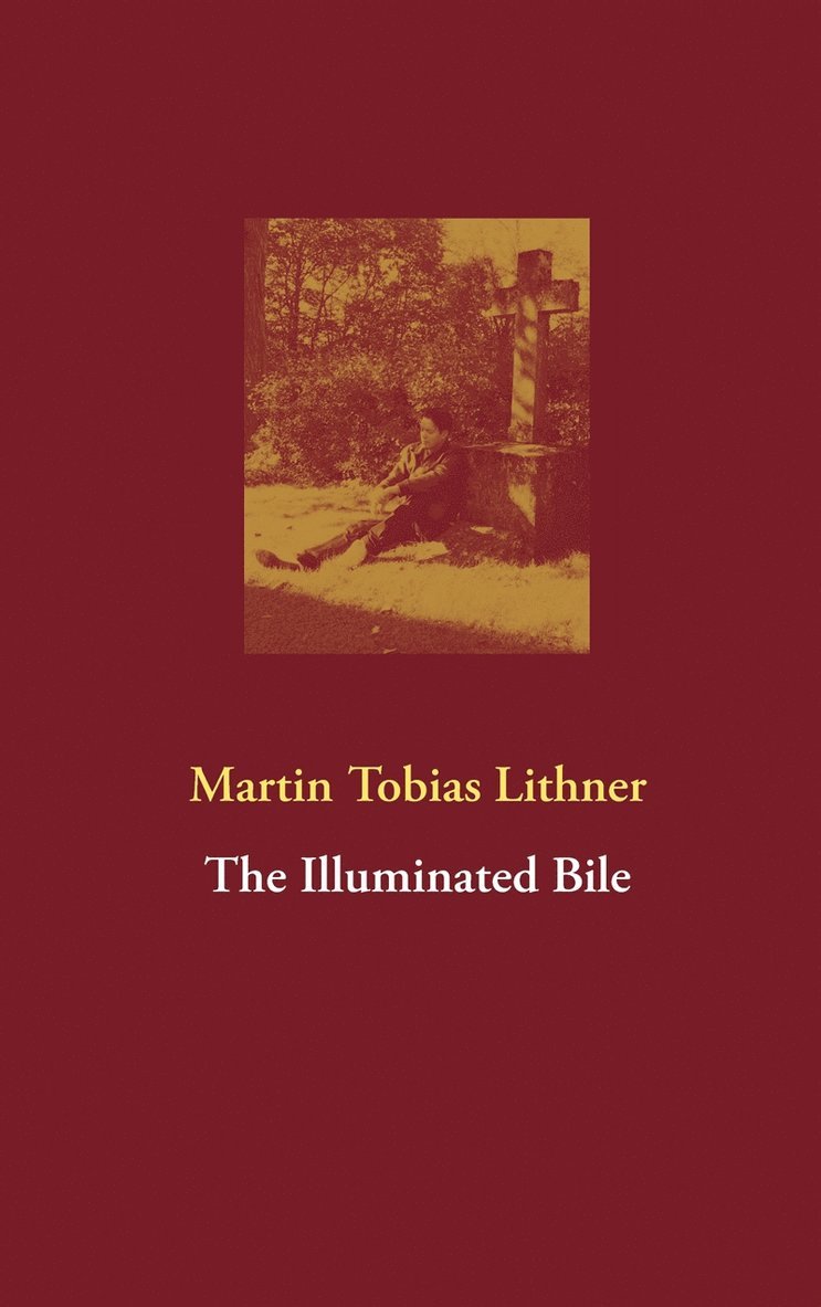 Martin Tobias Lithner - The Illuminated Bile, E-bok