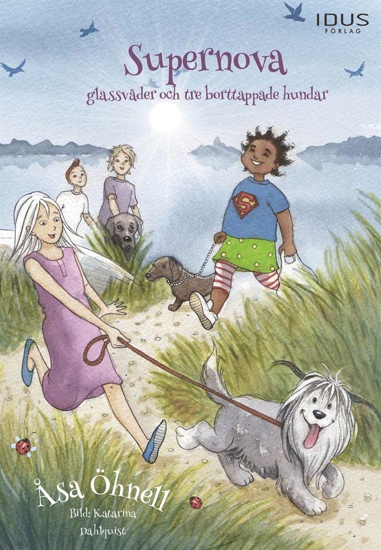 Åsa Öhnell - Supernova. Glassväder och tre borttappade hundar, E-bok