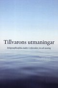 Tillvarons utmaningar : religionsfilosofiska studier i erfarenhet, tro och mening