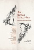 Att mtas r att vxa : en studie i mngkulturalitet