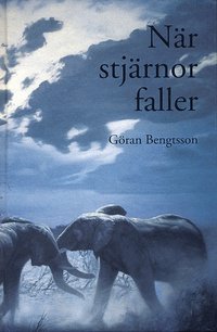 e-Bok När stjärnor faller