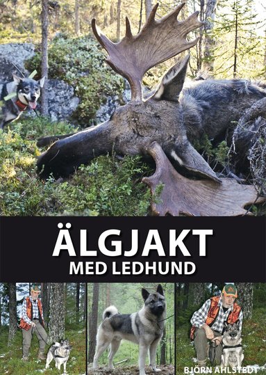 Björn Ahlstedt - Älgjakt med ledhund : från valpval till ledhundschampion, Inbunden