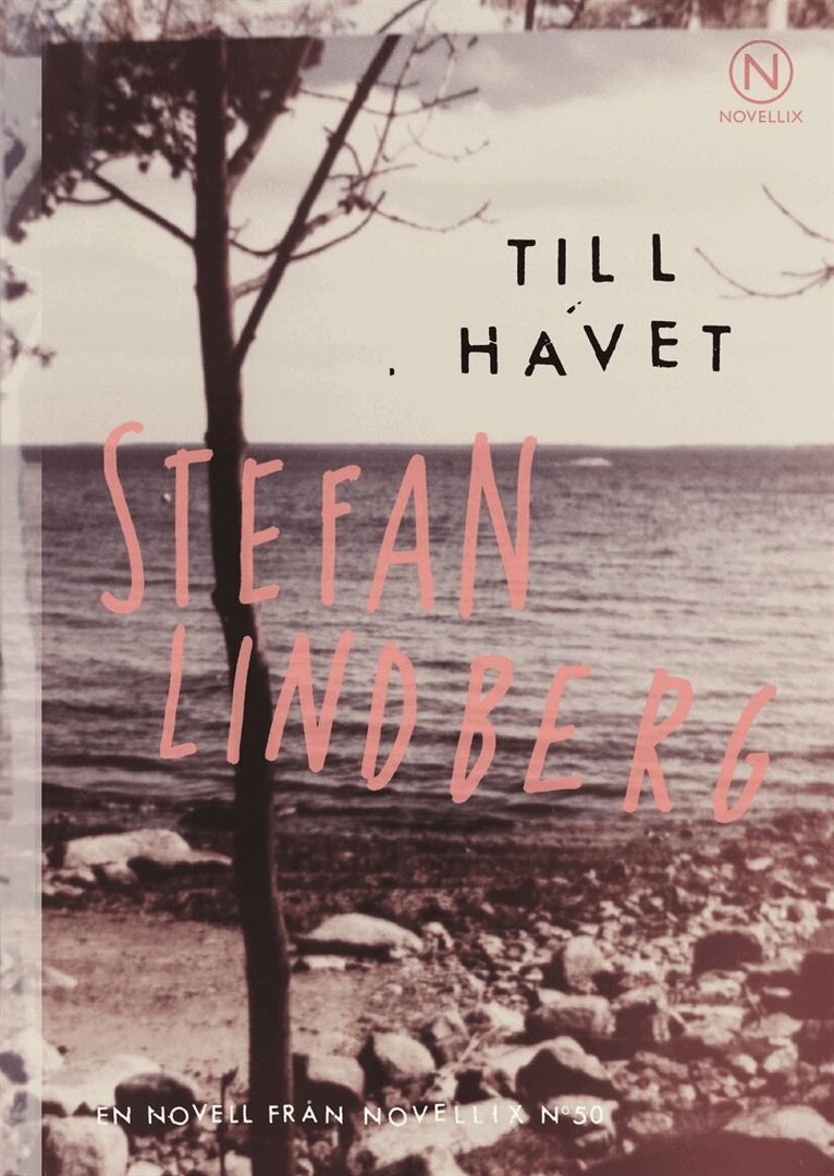 Stefan Lindberg - Till havet, E-bok