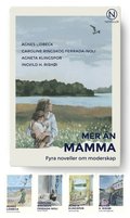 Mer n mamma - fyra noveller om moderskap