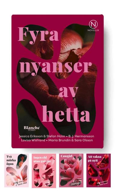 BJ Hermansson, Lovisa Wistrand, Maria Brundin, Stefan Holm, Jessica Eriksson, Sara Olsson - Fyra nyanser av hetta, Häftad