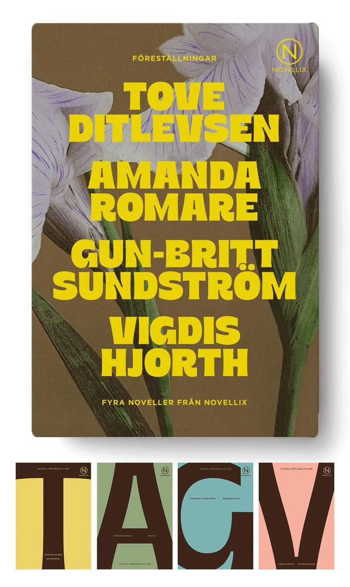 Amanda Romare, Gun-Britt Sundström, Tove Ditlevsen, Vigdis Hjorth - Föreställningar - fyra noveller, Övrigt. Tillgänglighet: Kommande