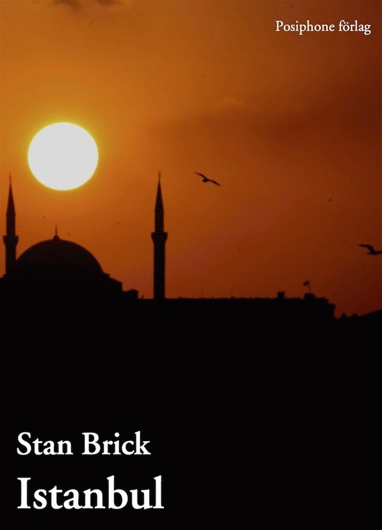 Stan Brick - Istanbul, E-bok