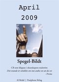 Spegel-Bildt, april 2009. CB som klippan i okunskapens malstrm.