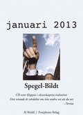Spegel-Bildt, januari 2013. CB som klippan i okunskapens malstrm.