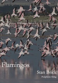 e-Bok Flamingos <br />                        E bok