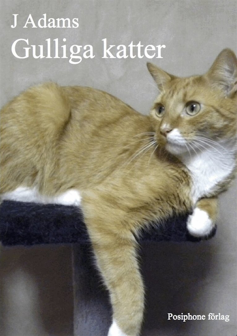 J Adams - Gulliga katter, E-bok