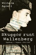 Skuggor runt Wallenberg : uppdrag i Ungern 1943-1945