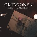 Oktagonen del 7: Orkidéer