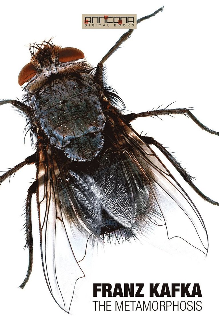 Franz Kafka - The Metamorphosis, E-bok