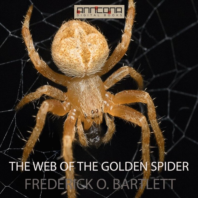 Frederick O. Bartlett - The Web of the Golden Spider, Ljudbok