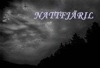 Christoffer Andersson - Nattfjäril, E-bok
