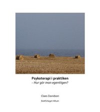 Psykoterapi i praktiken : hur gör man egentligen?