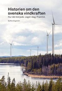 Historien om den svenska vindkraften : hur det brjade, lget idag, framtid